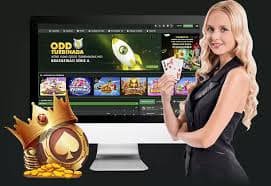 Antarmuka responsif platform EGA288 di berbagai perangkat – tampilan optimal di desktop, tablet, dan smartphone